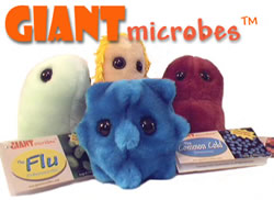 http://www.giantmicrobes.com